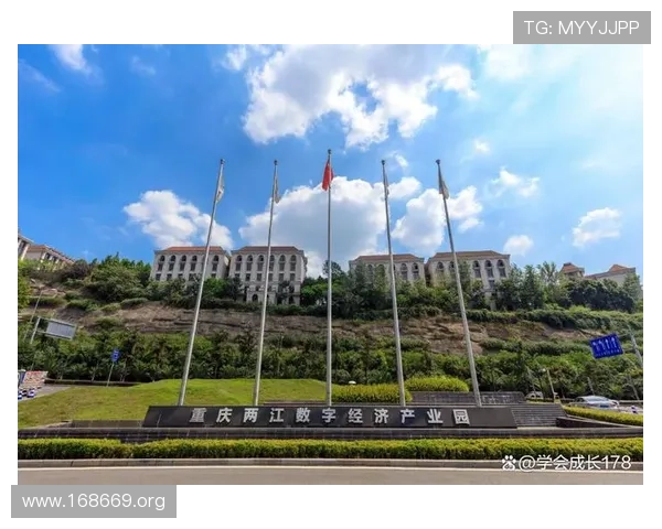 金杯娱乐:引领娱乐产业新潮流的创新力量